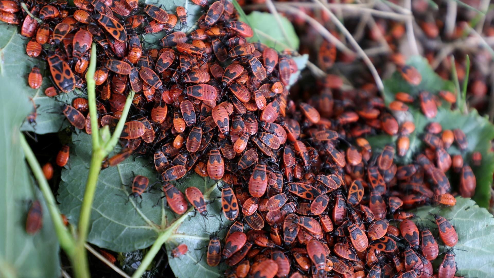 Nutikad snäkivalikud päeva jooksul